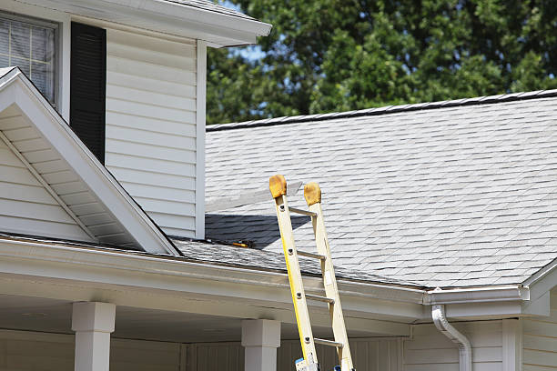 Best Siding Removal and Disposal  in Moulton, AL