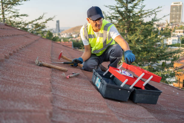 Best Stucco Siding  in Moulton, AL